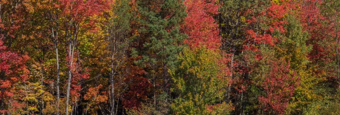 October